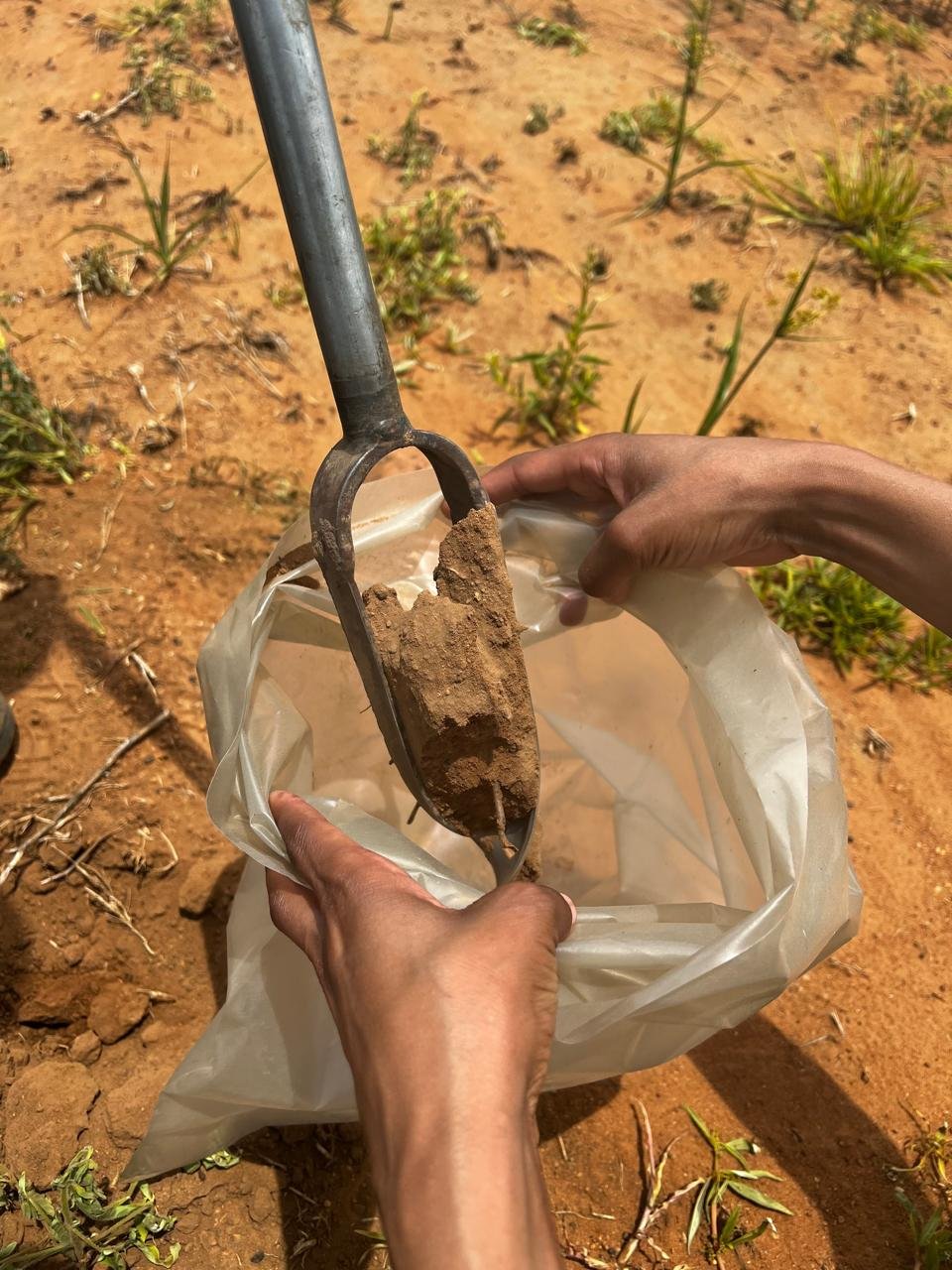 Biodiversity Assessment